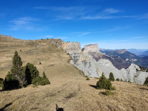 Tete Chevaliere-redim600